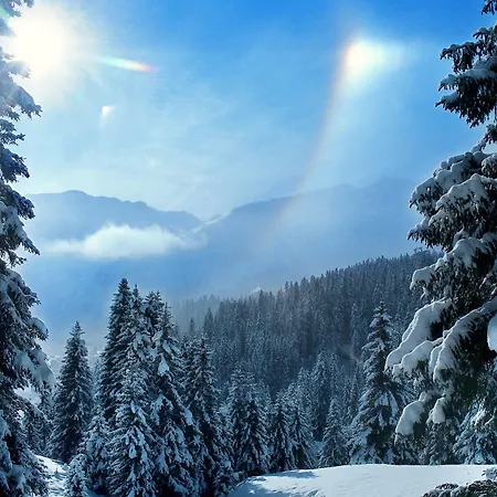 Hotel Home Hotel Arosa Arosa